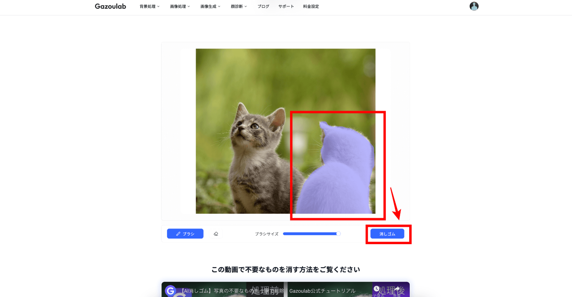 ブラシで削除する範囲を選択
