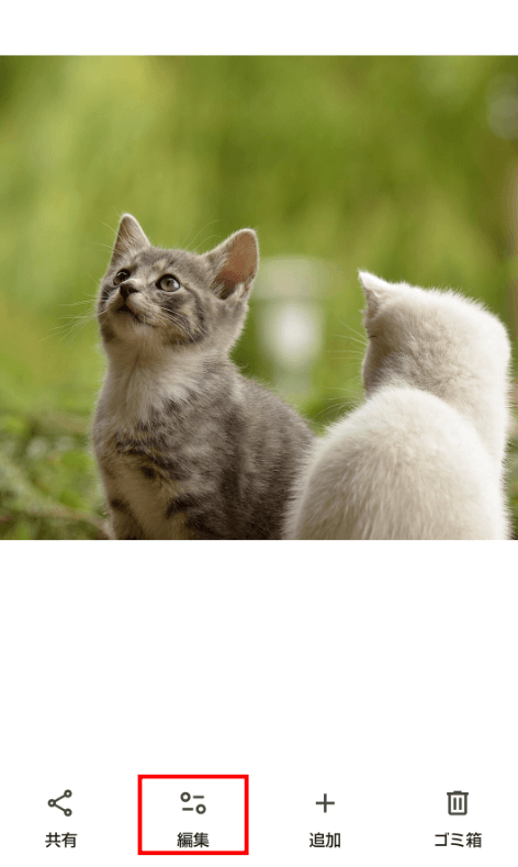 編集画面を開く