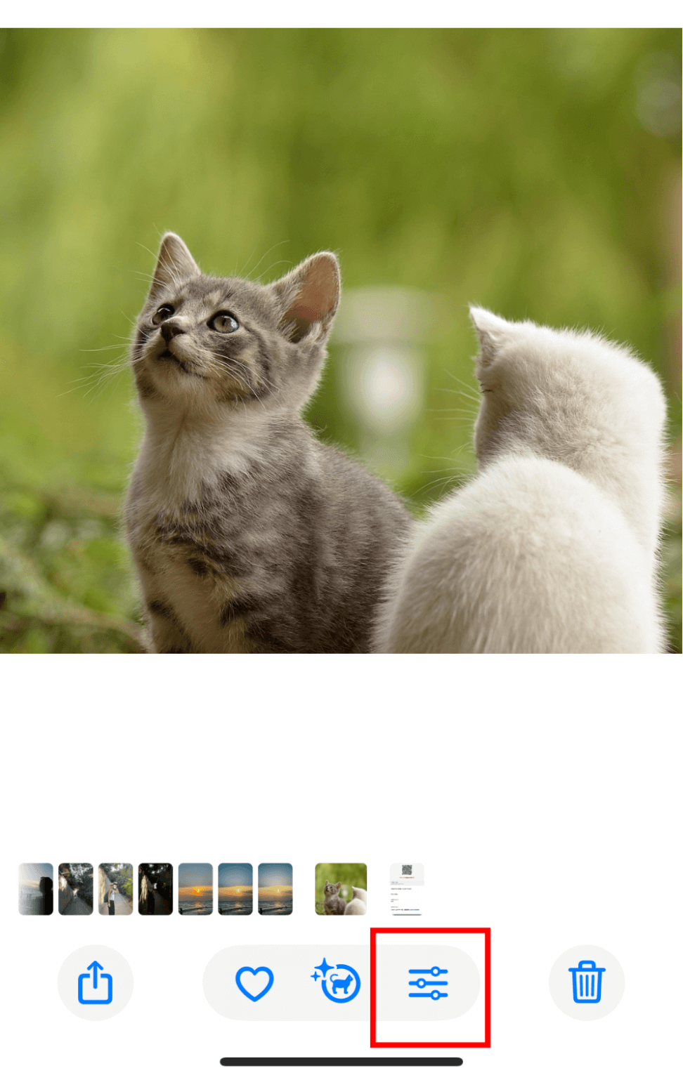 編集したい画像を挿入