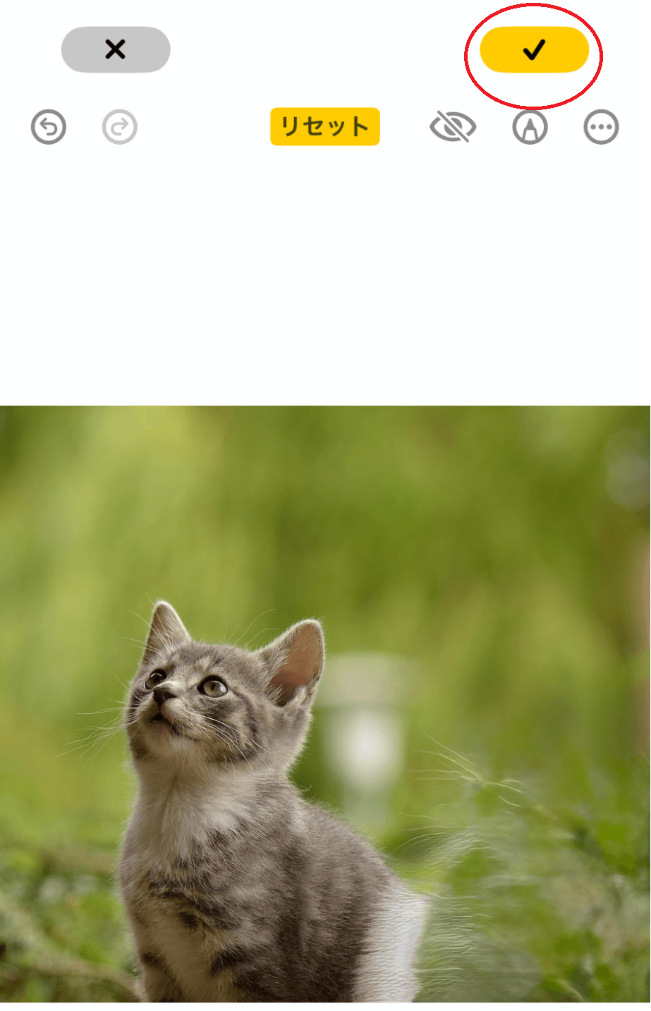 右上「リセット」を選択すると、一つ前の状態に戻るのでやり直しができます。