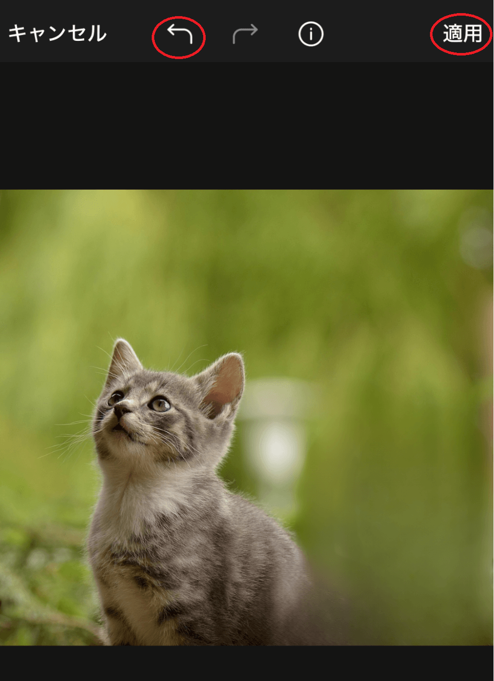 右上「適用」をクリックすると、編集後の画像を保存できます。