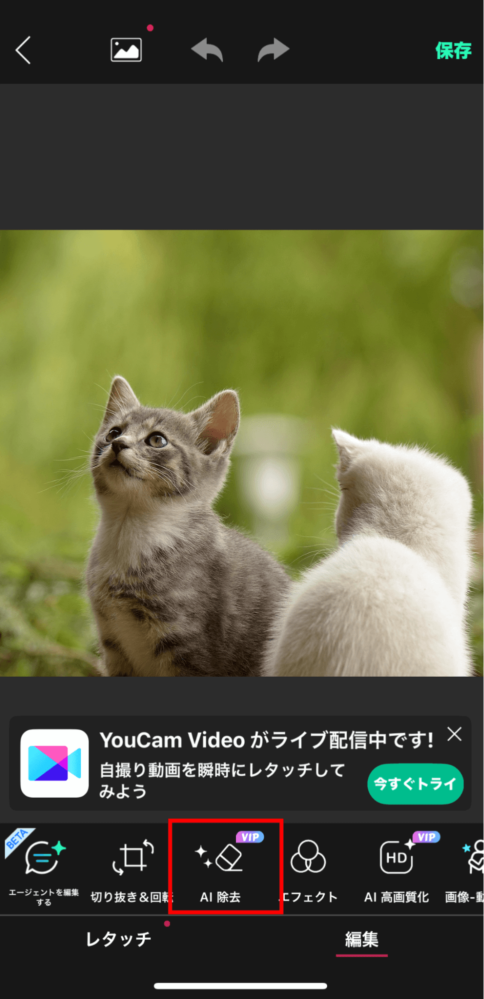 「AI除去」を選択