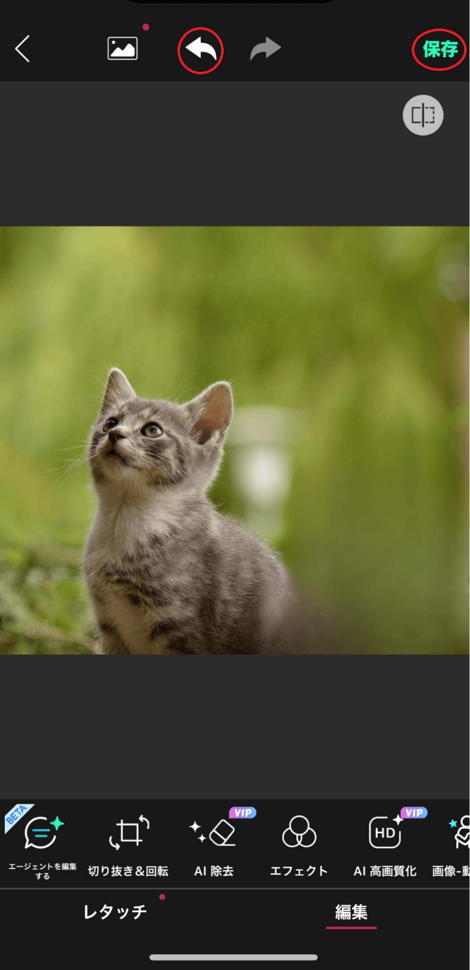 右上「保存」をクリックすれば、デバイスに保存されます。