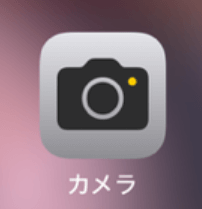 iPhoneは、カメラの撮影モードの一つである「ポートレート」を使うことで簡単に背景がぼやけた写真が撮れます。