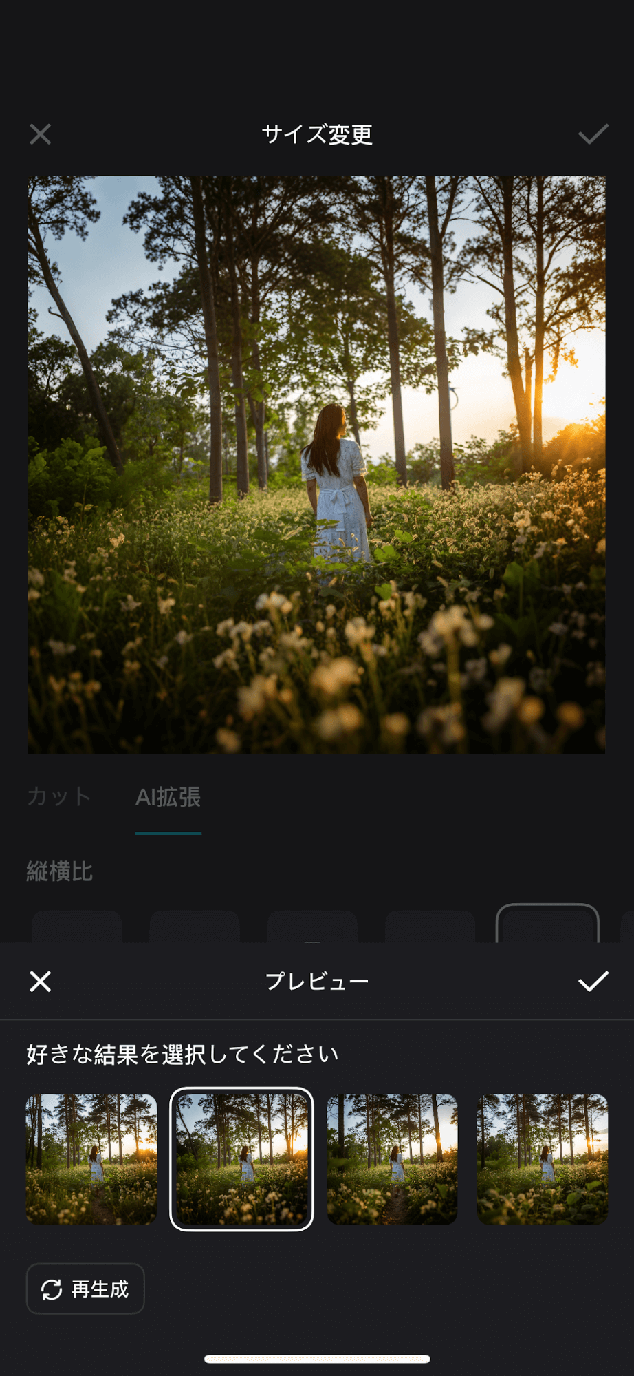 4種類のパターンから好きな結果を選択することもできます。