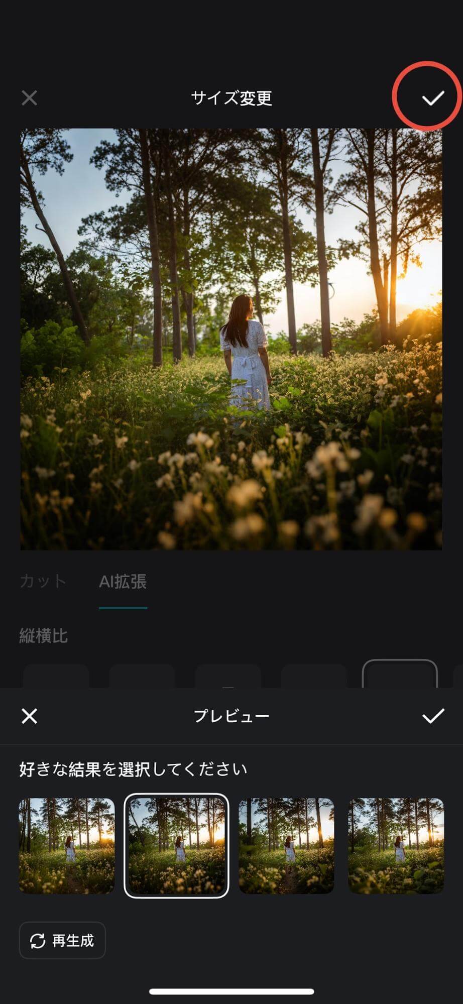 次に、上にあるチェックマークを押すと画像が保存できます。