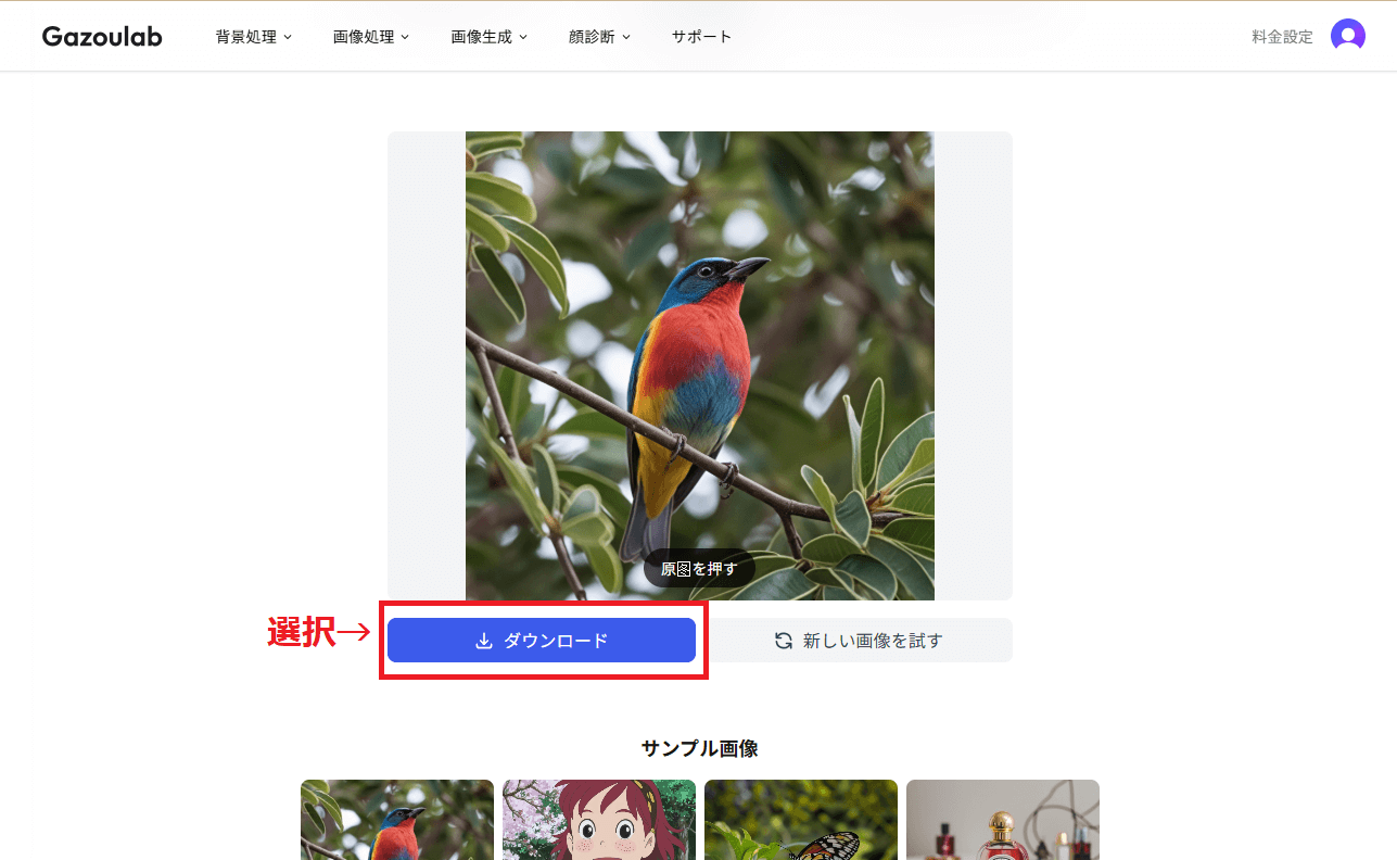 結果を確認・ダウンロード