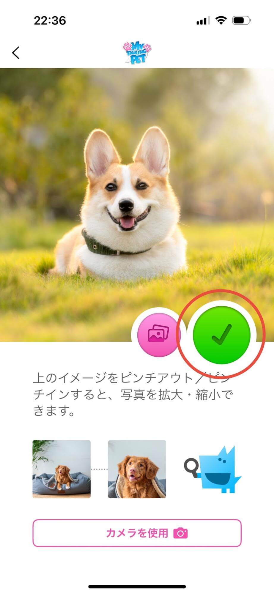 ピンチアウト/ピンチインすることで、写真を拡大縮小できます。