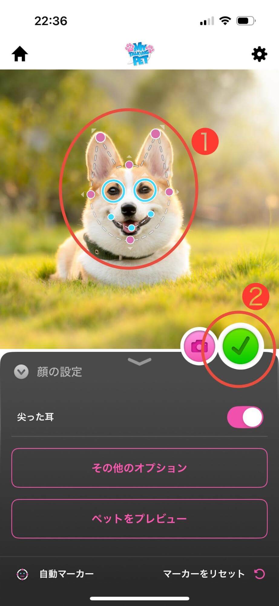 次に、顔のパーツや輪郭のマーカーを設定します