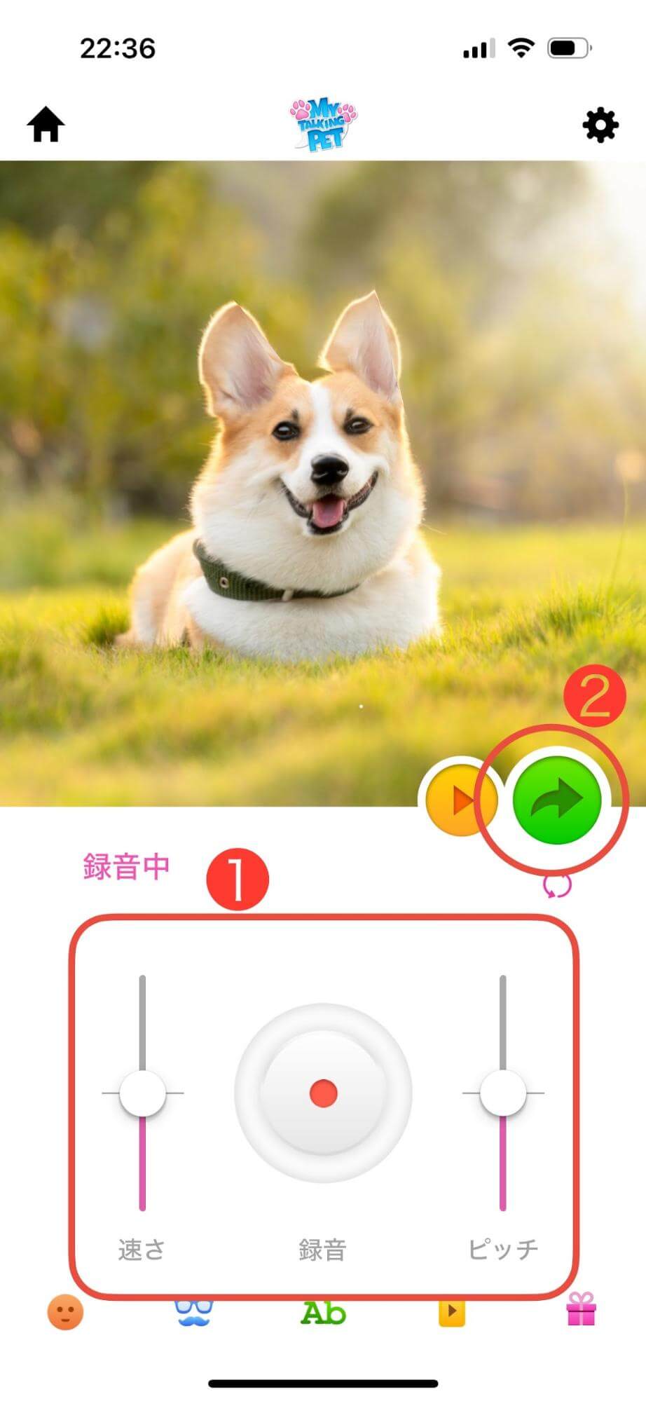 そして最後は真ん中の丸いボタンを押し、その場でセリフを録音します。