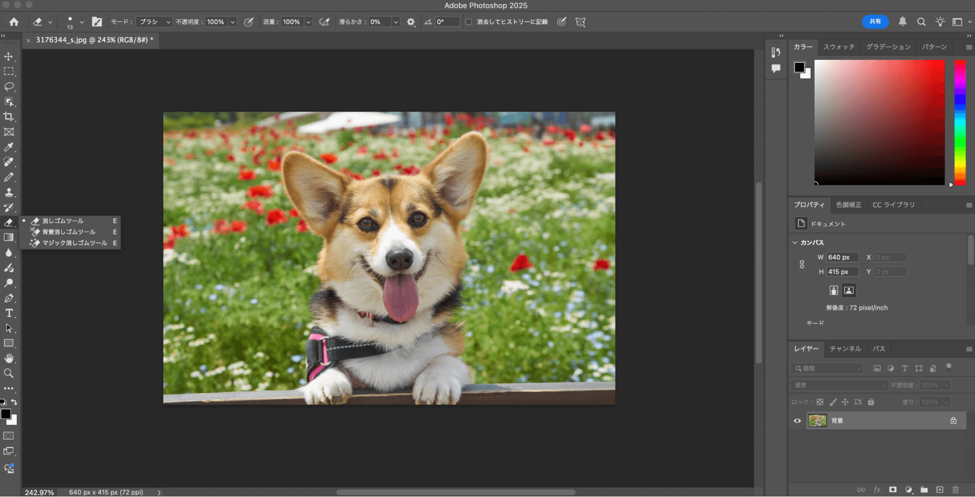 新規作成で被写体を抽出したい画像を追加したら、左のメニューバーから「背景消しゴムツール」を選択します。