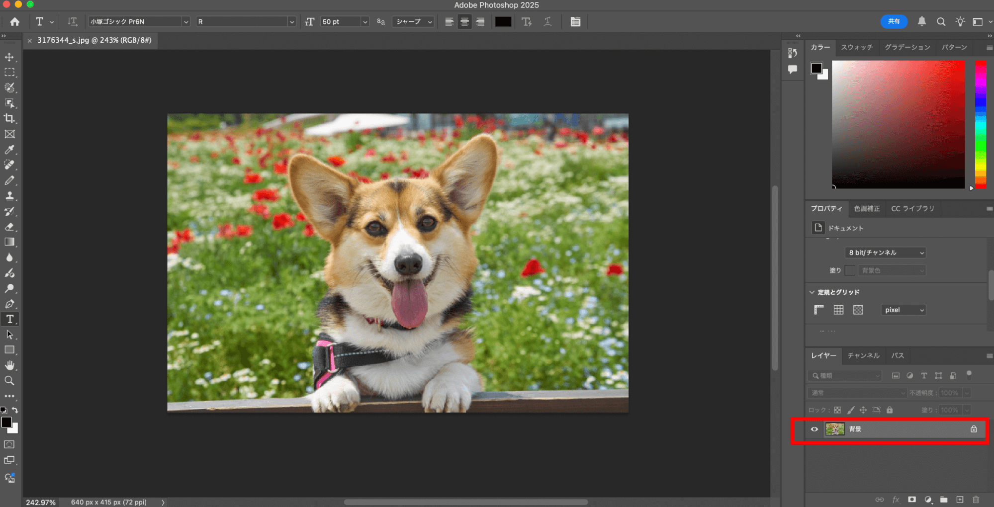 まずは、Photoshop上で背景透過したい画像をアップロードします。