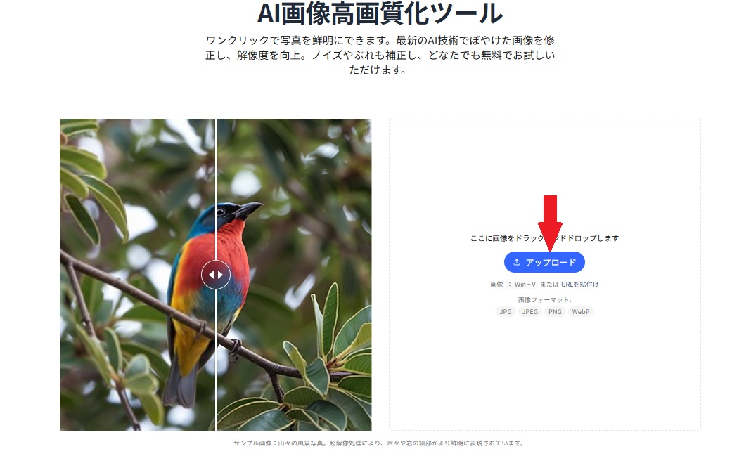 画像をアップロードします